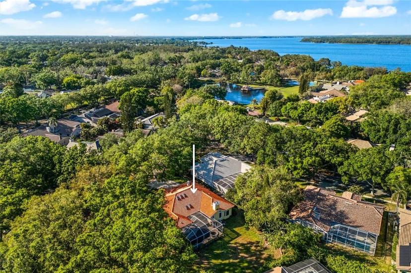 Picture of 2349 Pinnacle Circle N, Palm Harbor FL 34684