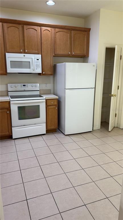 Picture of 4133 Bismarck Palm Drive, Tampa FL 33610