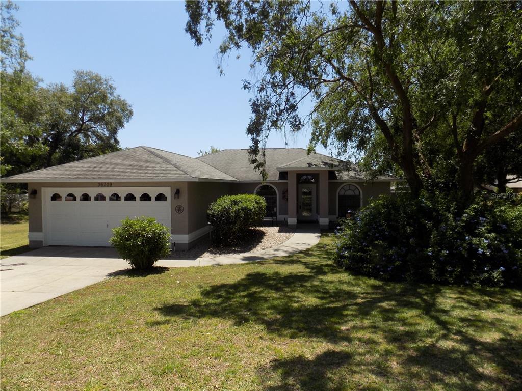 Picture of 36709 Sandy Lane, Grand Island, FL 32735