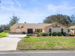 Picture of 9630 Southern Belle Drive, Weeki Wachee, FL 34613