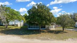 Picture of 10934 Luana Drive, Leesburg, FL 34788