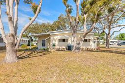 Picture of 317 Lakeview Drive, Osteen, FL 32764