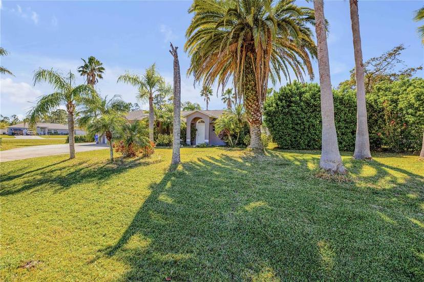 Picture of 3330 Queen Palm Drive, Edgewater FL 32141