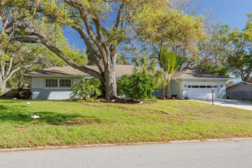 Picture of 3330 San Bernadino Street, Clearwater FL 33759