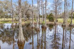 Picture of 667 SW Elim Church Road, Fort White, FL 32038