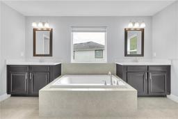 Picture of 17850 Althea Blue Place, Lutz, FL 33558
