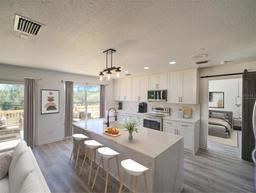 Picture of 41636 Outlaw Lane, Weirsdale, FL 32195