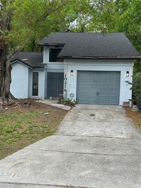 Picture of 10216 N Pawnee Avenue, Tampa FL 33617