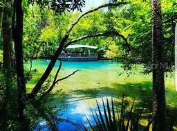 Picture of 719 Hallam Drive, Citrus Springs, FL 34434