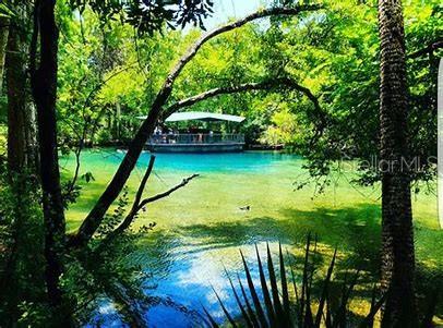 Picture of 719 Hallam Drive, Citrus Springs FL 34434