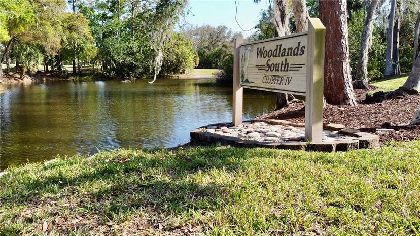 Picture of 610 S Woodlands Drive, Oldsmar FL 34677