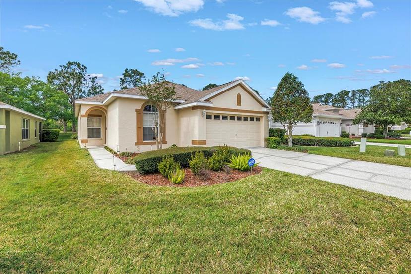 Picture of 3215 Banyan Hill Lane, Land O Lakes FL 34639