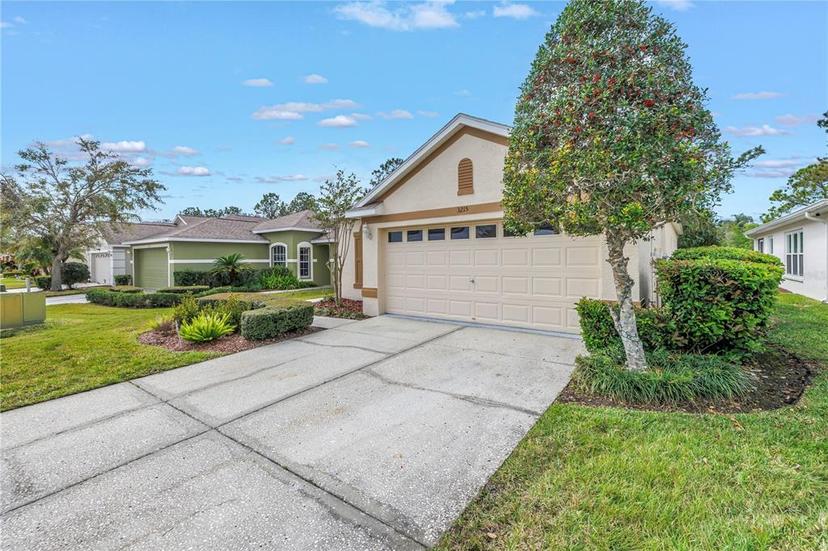 Picture of 3215 Banyan Hill Lane, Land O Lakes FL 34639