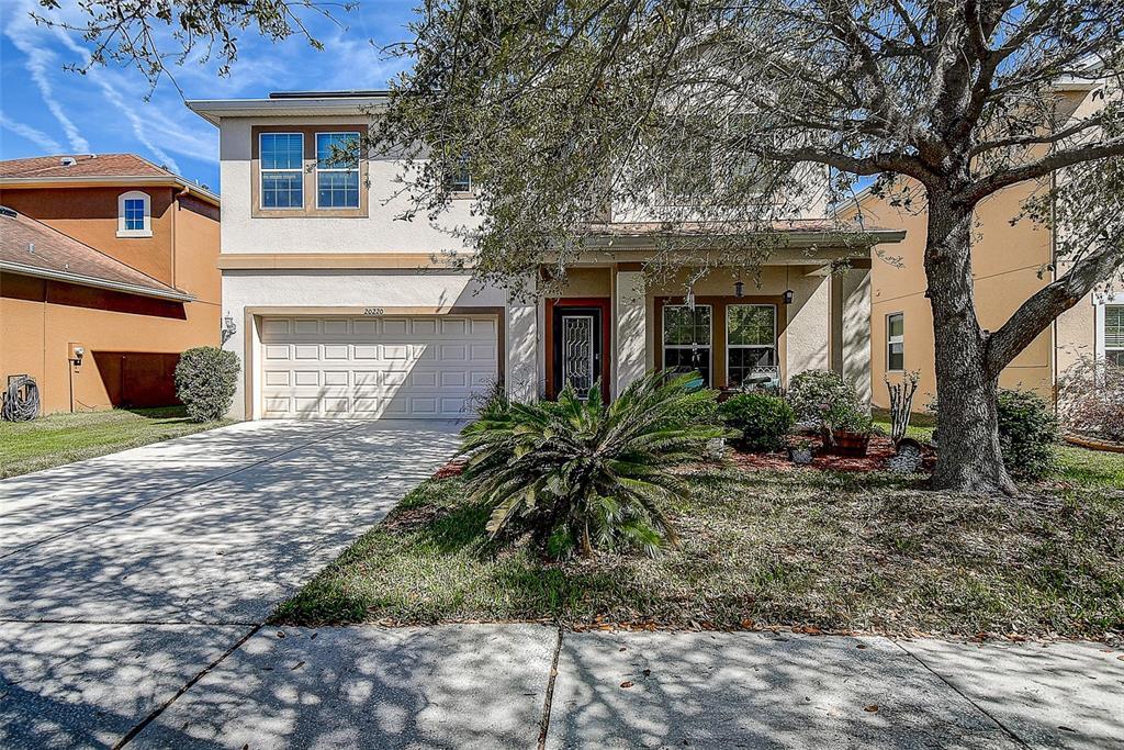Picture of 20220 Autumn Fern Avenue, Tampa, FL 33647