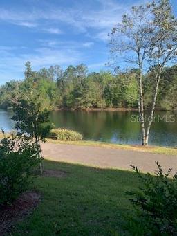 Picture of 581 Running Woods Street, Orange Park, FL 32065