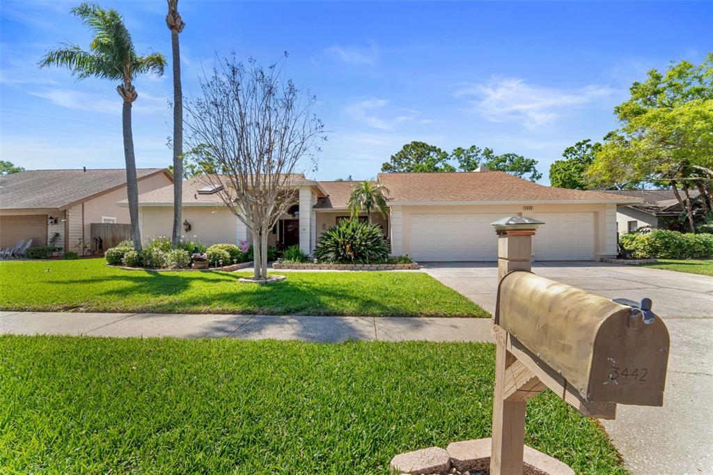Picture of 3442 Beech Trail, Clearwater, FL 33761