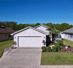 Picture of 6117 Crickethollow Drive, Riverview, FL 33578