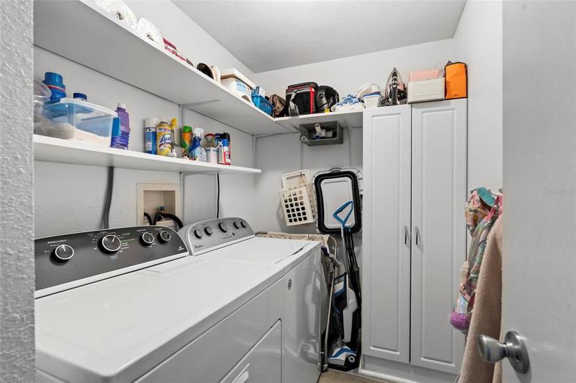 Picture of 5383 Black Pine Drive, Tampa FL 33624