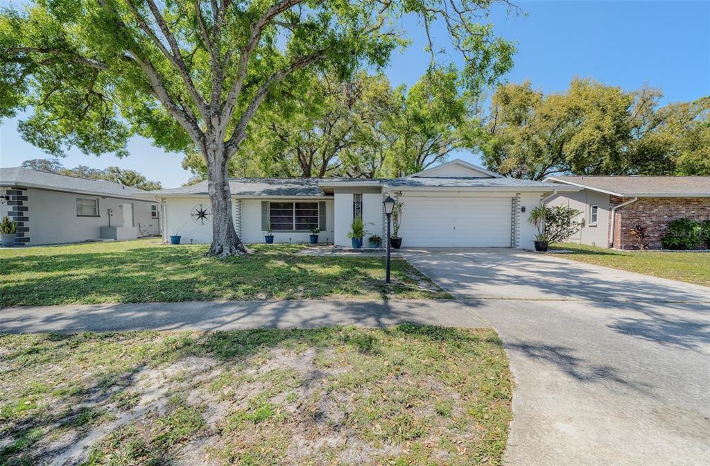 Picture of 3219 Spanish Moss Lane, Palm Harbor, FL 34684