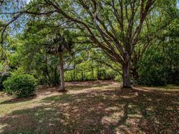 Picture of 26053 Newcombe Circle, Leesburg, FL 34748