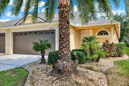 Picture of 31833 Turkeyhill Drive, Wesley Chapel, FL 33543