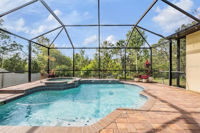 Picture of 1017 Ketzal Drive, Trinity FL 34655