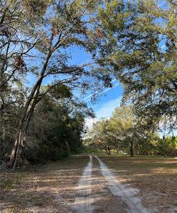 Picture of 7393 NE 353Rd Highway, Old Town, FL 32680