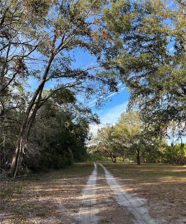 Picture of 7393 NE 353Rd Highway, Old Town FL 32680