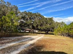 Picture of 7393 NE 353Rd Highway, Old Town, FL 32680