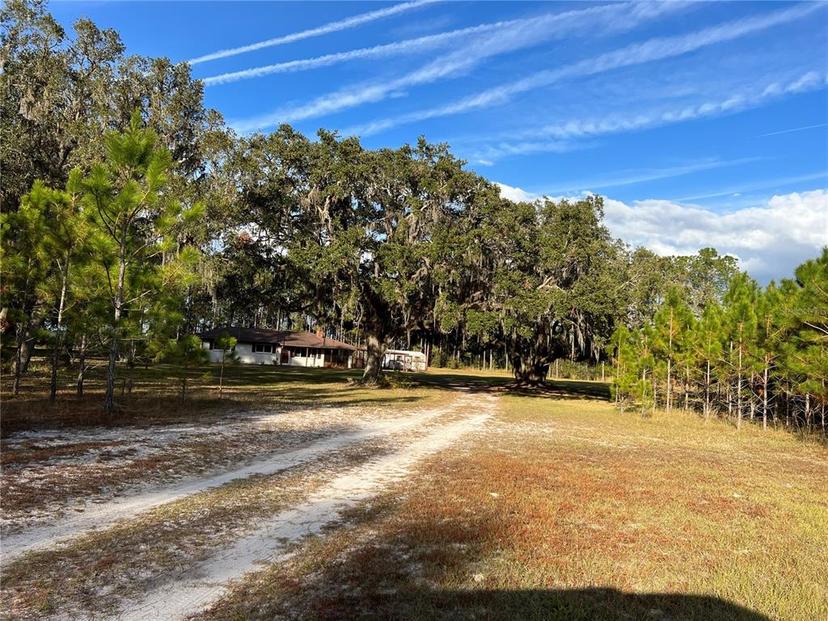 Picture of 7393 NE 353Rd Highway, Old Town FL 32680