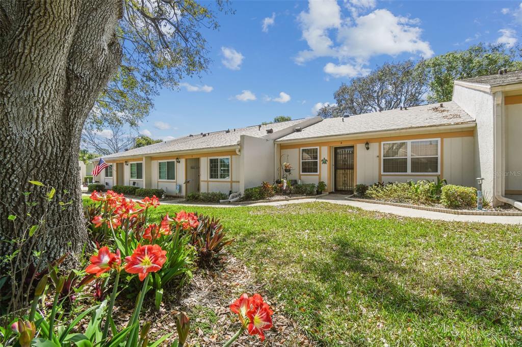 Picture of 8130 Braddock Circle Unit 3, Port Richey, FL 34668