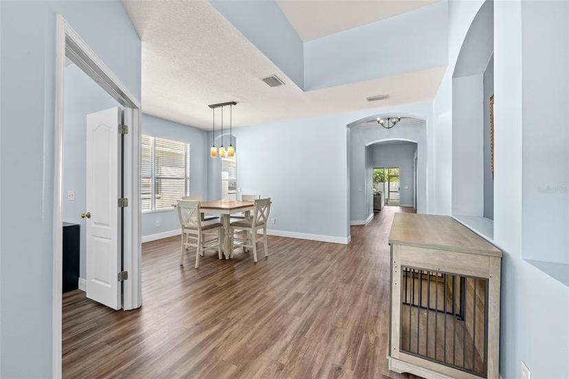 Picture of 11009 Silver Dancer Drive, Riverview FL 33579
