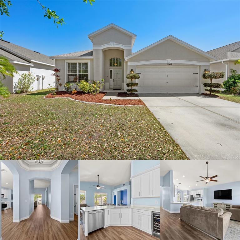Picture of 11009 Silver Dancer Drive, Riverview FL 33579
