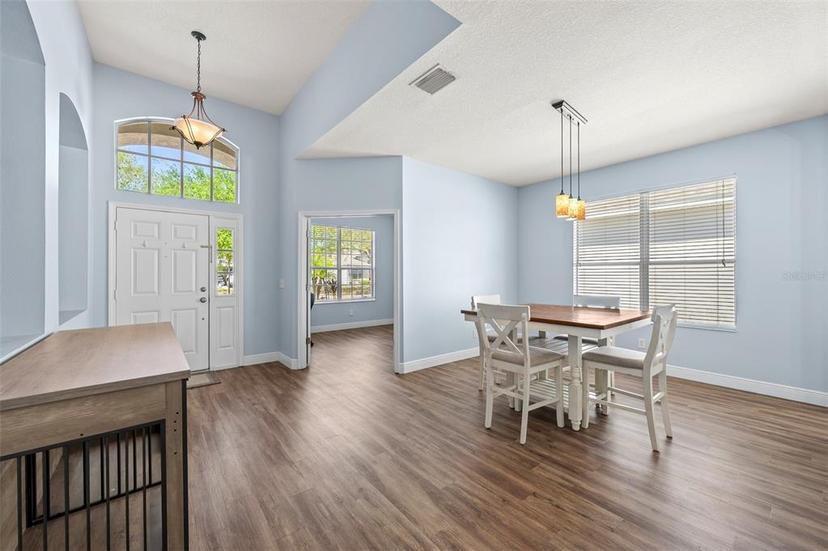 Picture of 11009 Silver Dancer Drive, Riverview FL 33579
