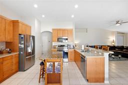Picture of 11023 Silver Dancer Drive, Riverview, FL 33579