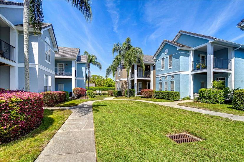 Picture of 4010 Alexander Palm Court Unit 4010, Tampa FL 33624