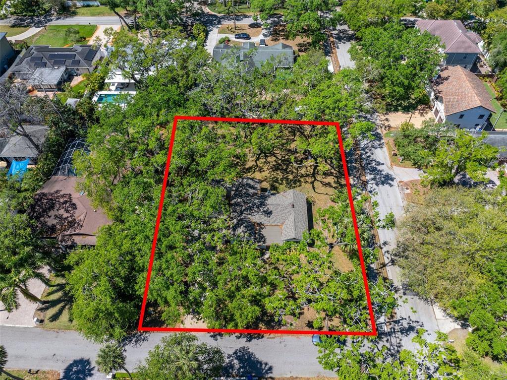 Picture of 203 S Coolidge Avenue, Tampa, FL 33609