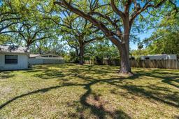 Picture of 203 S Coolidge Avenue, Tampa, FL 33609