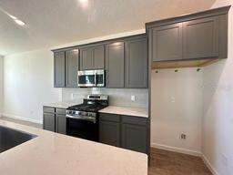 Picture of 2296 Sirena Lane, Mount Dora, FL 32757