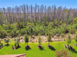 Picture of 29488 Ginnetto Drive, Wesley Chapel, FL 33543