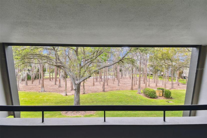 Picture of 36750 Us 19 N Unit 06211, Palm Harbor FL 34684