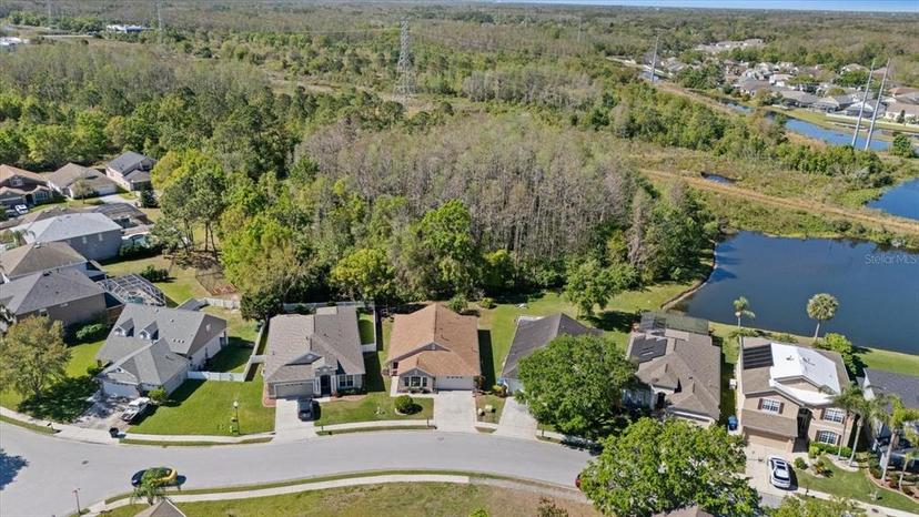 Picture of 2625 Micah Drive, Trinity FL 34655