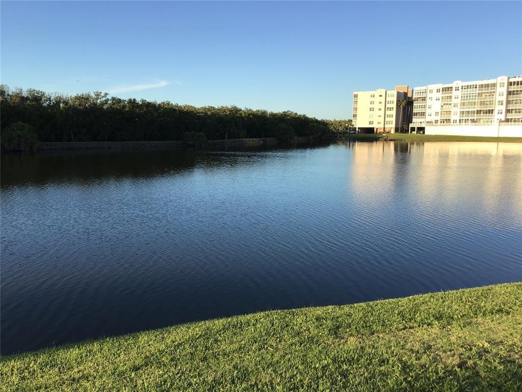 Picture of 9860 62Nd Terrace N Unit 1036, St Petersburg, FL 33708