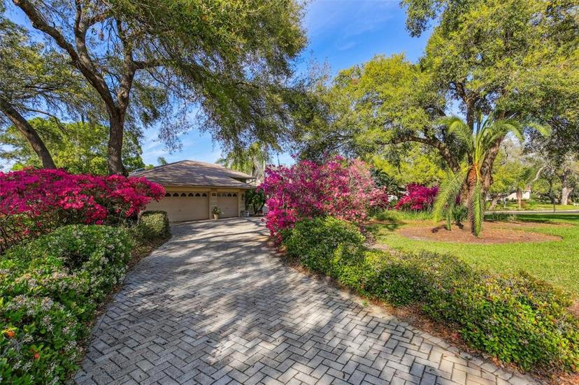 Picture of 8823 Crescent Forest Boulevard, New Port Richey FL 34654