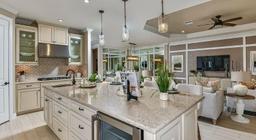 Picture of 4733 Isonzo Way, Wesley Chapel, FL 33543
