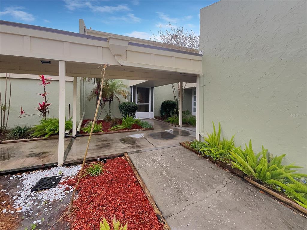 Picture of 13516 Palmwood Lane, Tampa, FL 33618