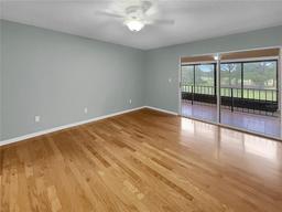 Picture of 13516 Palmwood Lane, Tampa, FL 33618