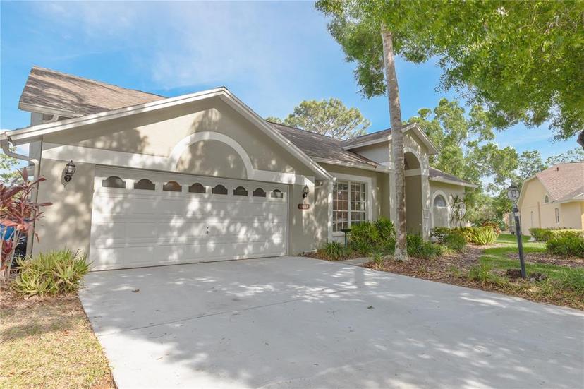 Picture of 13703 Whitebark Place, Tampa FL 33625