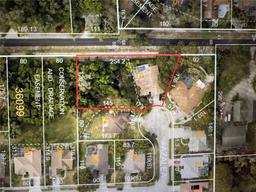 Picture of 2302 Azalea Drive, Palm Harbor, FL 34683