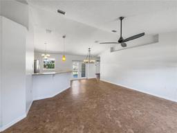 Picture of 760 Park Avenue, Orange City, FL 32763